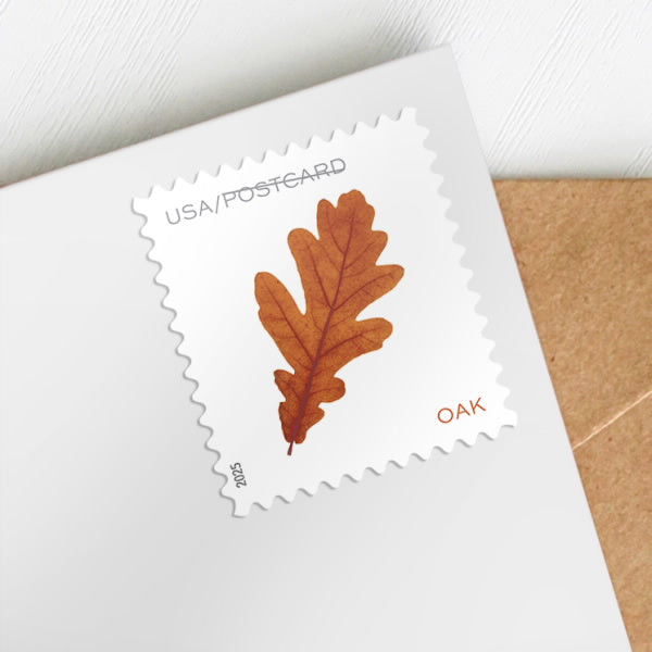 2025 US Vibrant Leaves Postcard Stamps