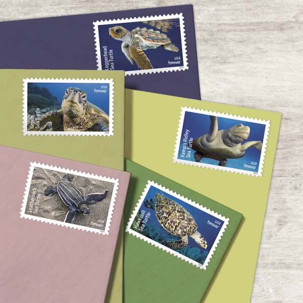2024 USA Protect Sea Turtles Forever Stamps