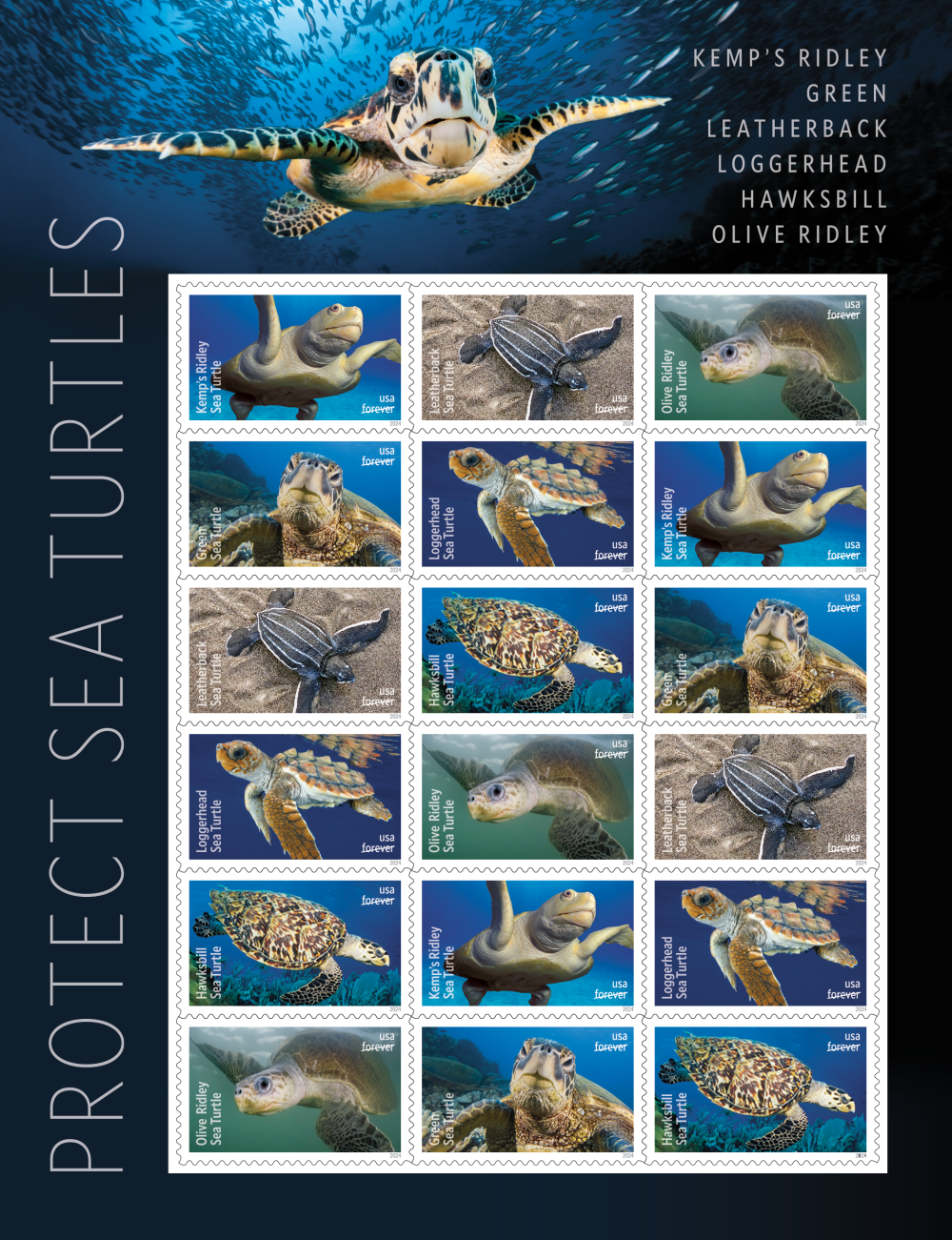 2024 USA Protect Sea Turtles Forever Stamps