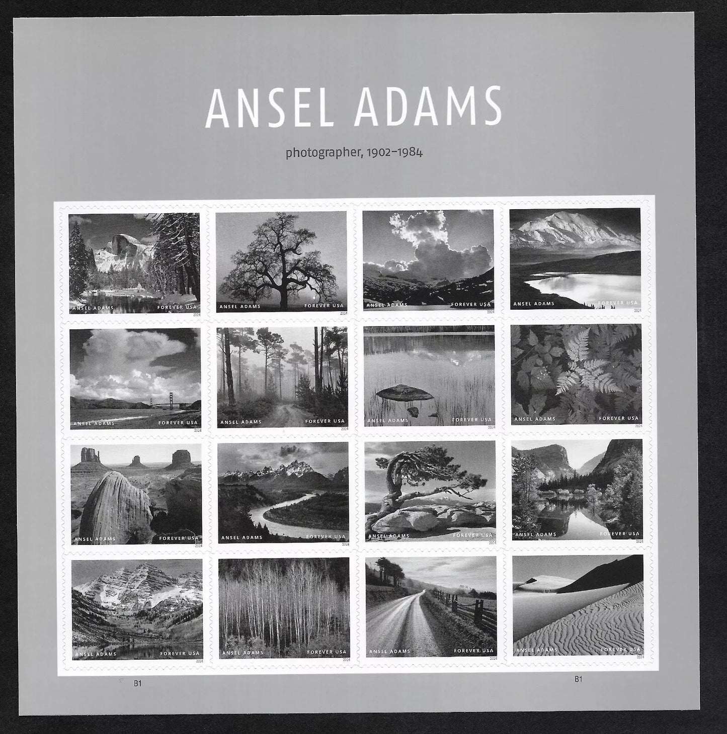 2024 USA Ansel Adams Photographer Sheet of 16 Forever Stamps