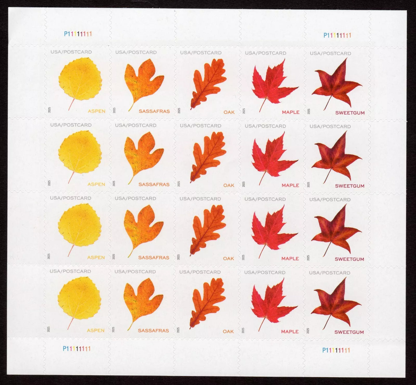 2025 US Vibrant Leaves Postcard Stamps