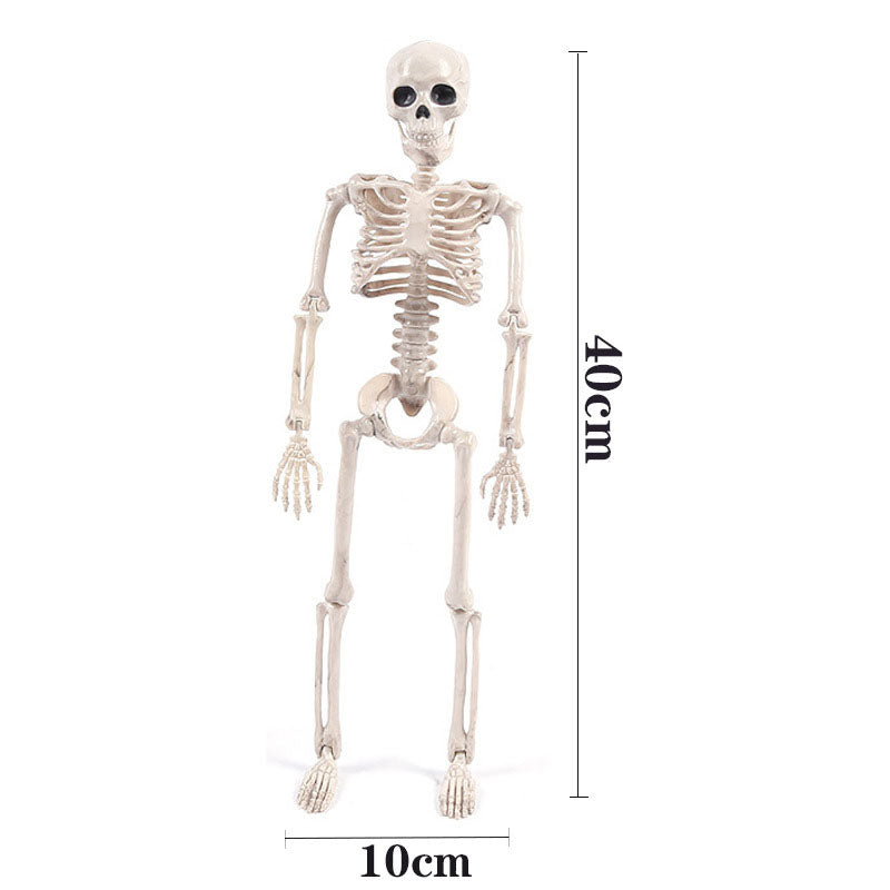 Halloween Decoration Skull Skeleton Simulation Human Body Plastic Skeleton