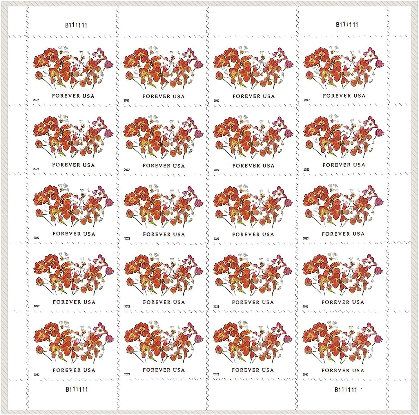 (2022) USPS Tulips Forever First Class Postage Stamps