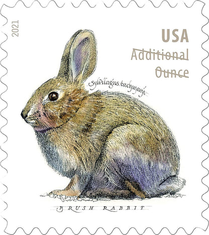 2021 Brush Rabbit Additional Ounce Forever Postage Stamps