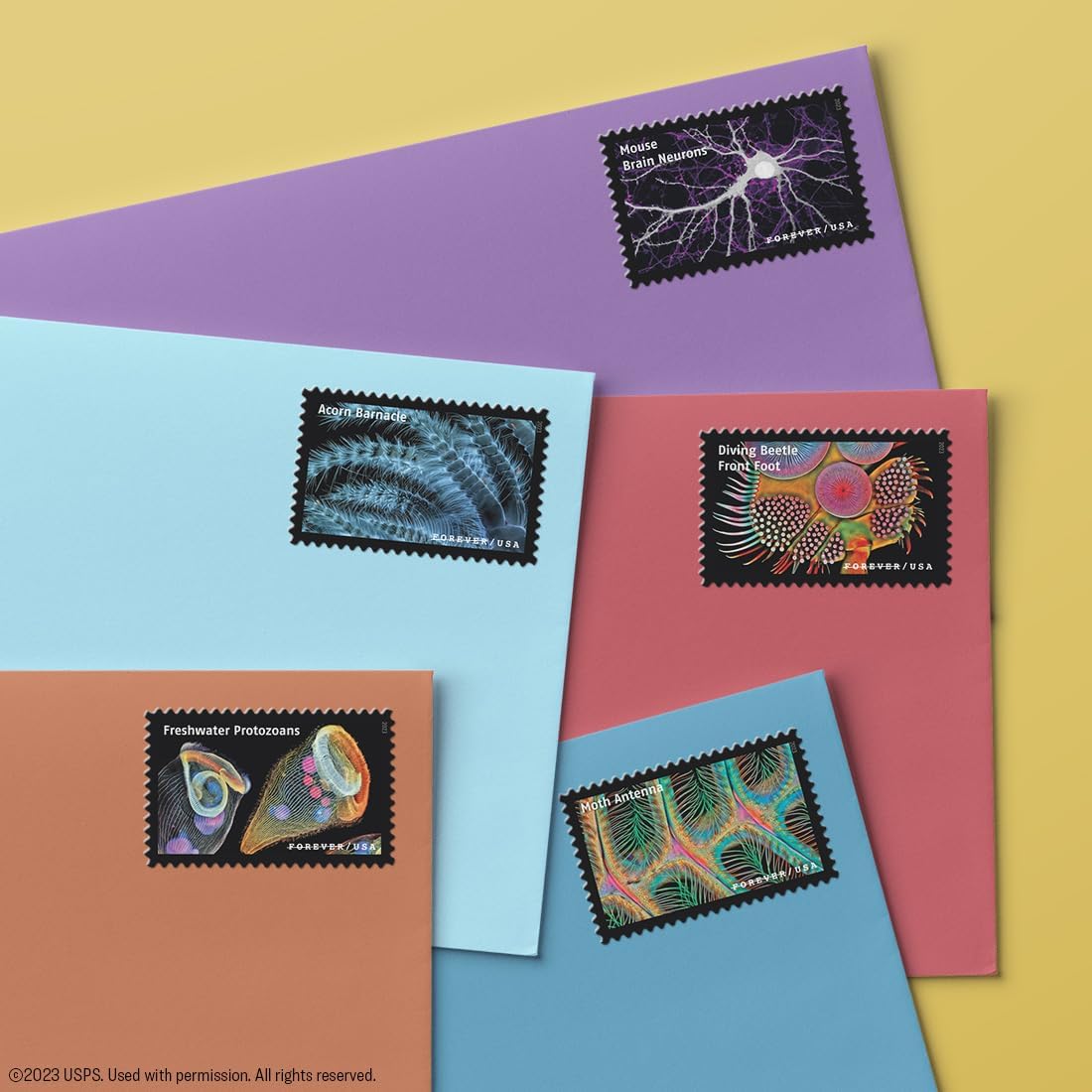 2023 Life Magnified Forever Postage Stamps Explores Life on Earth