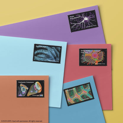 2023 Life Magnified Forever Postage Stamps Explores Life on Earth
