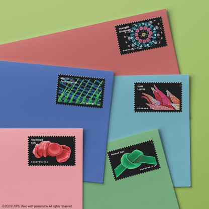 2023 Life Magnified Forever Postage Stamps Explores Life on Earth