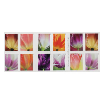 2023 US Tulip Blossoms First-Class Forever Stamps