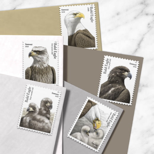 USA 2026 Bald Eagle Hatchling to Adult Forever Stamps