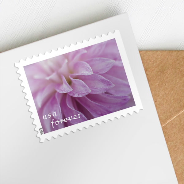 2025 US Dahlias Summer Flowers Book of 20 Forever Stamps