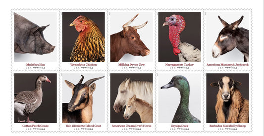 US New Heritage Breeds Forever Postage Stamps
