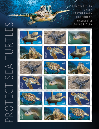 2024 USA Protect Sea Turtles Forever Stamps