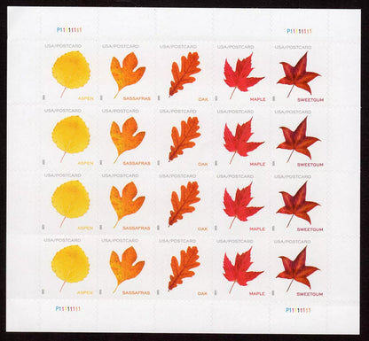 2025 US Vibrant Leaves Postcard Stamps