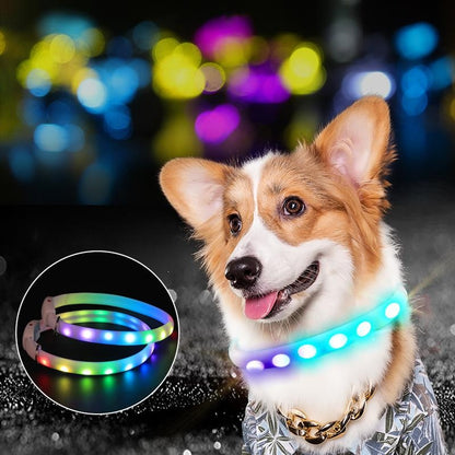 Large Dog Pet LED Light Luminous Collar USB Charging Collar