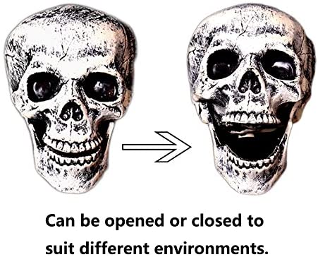 Halloween Skull Three-piece Garden Secret Room Halloween Dress Up Props
