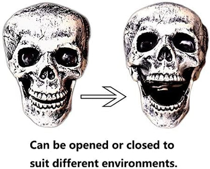 Halloween Skull Three-piece Garden Secret Room Halloween Dress Up Props