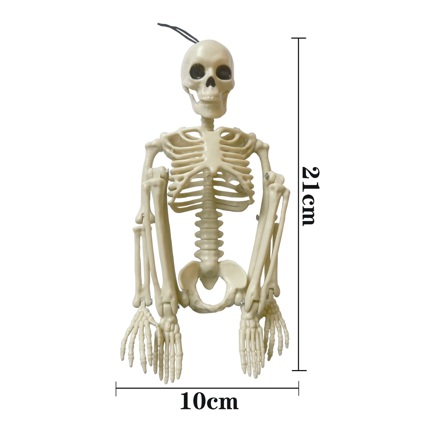 Halloween Decoration Skull Skeleton Simulation Human Body Plastic Skeleton