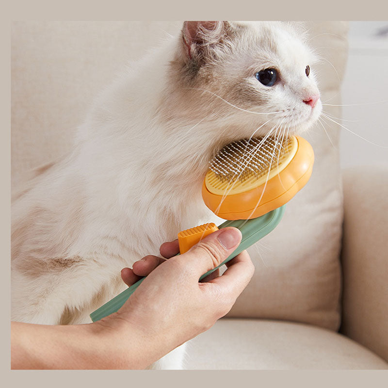 Pet Cleaning Brush Cat Grooming Pumpkin Brush