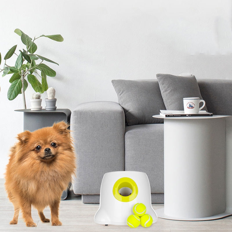 Dog Service Machine Pet Dog Tennis Launcher Tennis Reward Machine