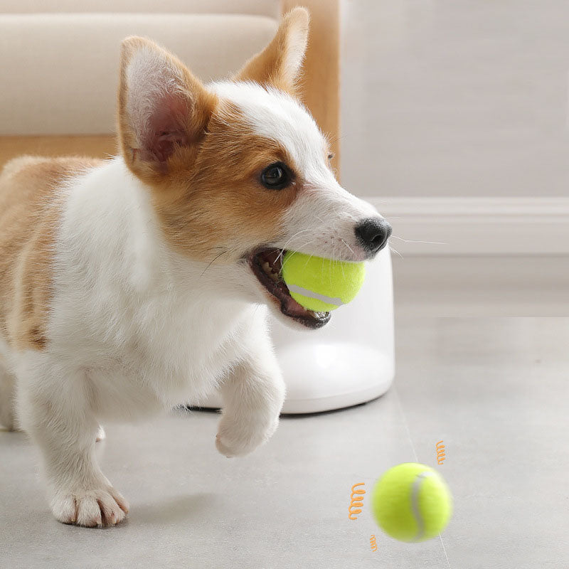 Dog Interactive Training Toy Baseball Award Machine