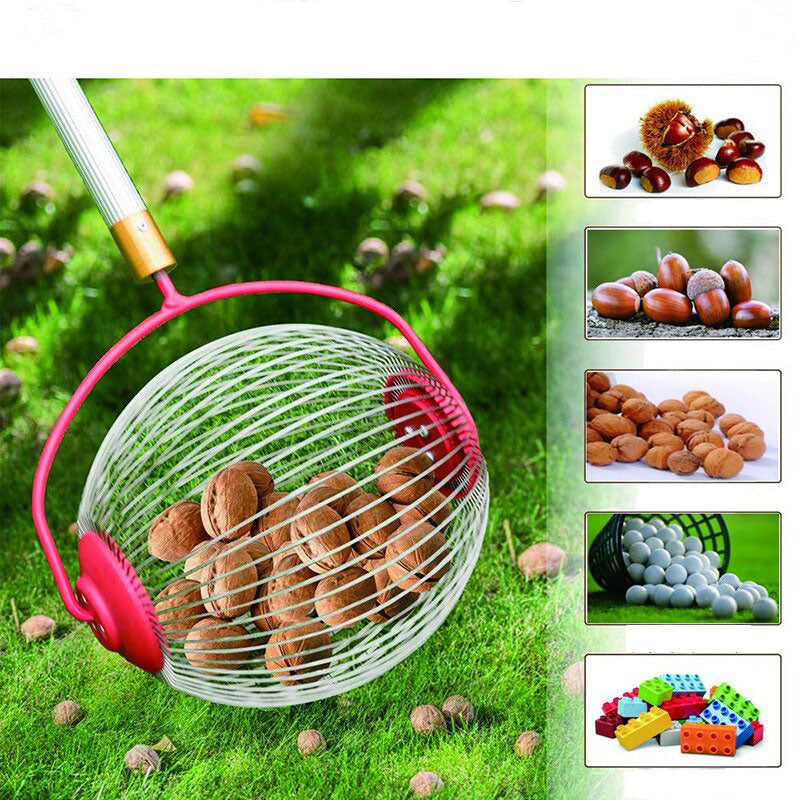 Garden Tools Stainless Steel Roller Nuts Collector