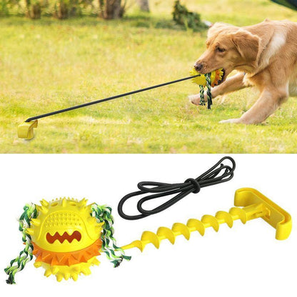 Dog Outdoor Toys Dog Food Ball Molars Tug of War Rope Ball Toys