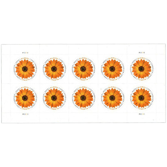 (2022) USPS Global Forever International Mail African Daisy Postage Stamps