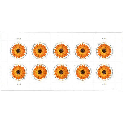 (2022) USPS Global Forever International Mail African Daisy Postage Stamps